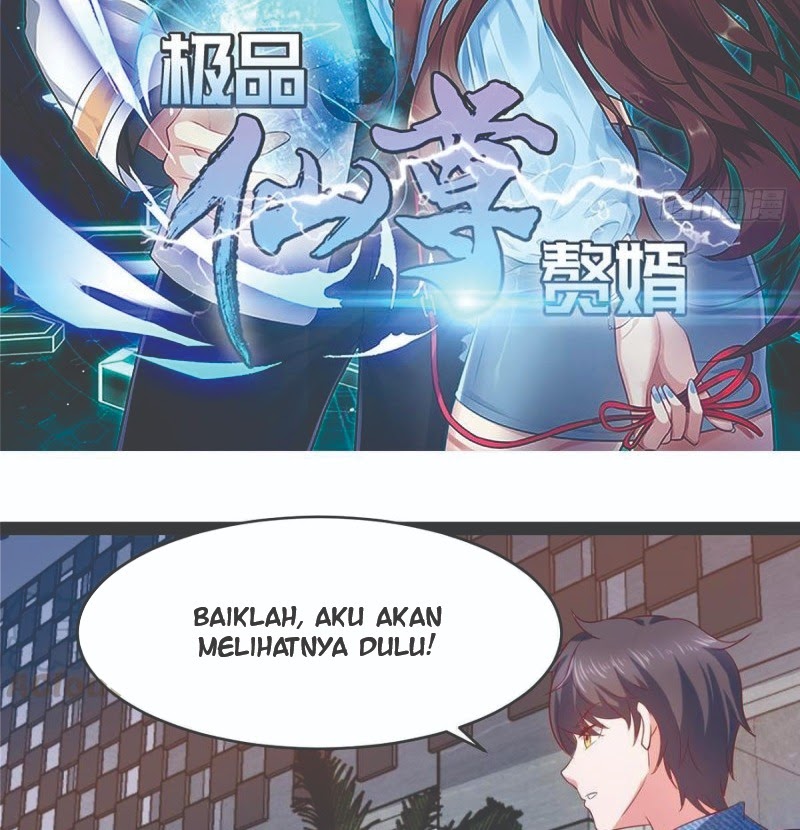 Rebirth Into the Strongest Immortal Cultivator chapter 50